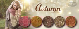 DIVA Gellak The Pumpkin Collection 5x 10 ml - Beauty by Wenn