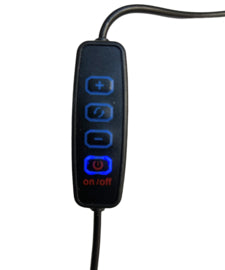 Diva's Glam Lamp - Beauty by Wenn