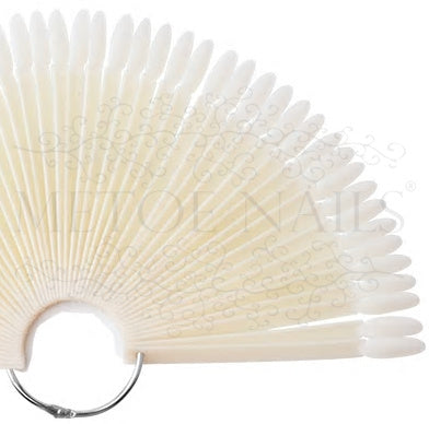 Color Pops Ovaal Naturel Waaier Carrousel 50 stuks - Beauty by Wenn