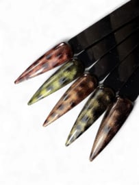 DIVA Gellak Cat Eye I Wanna Dance With You Collection 5x 10 ml met gratis Pen Magneet
