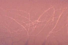DIVA Armrustkussen Pink Pearl Design - Beauty by Wenn