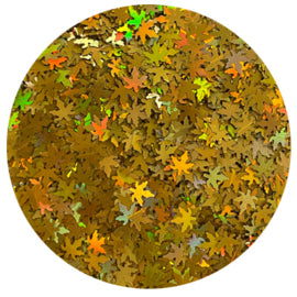 Leaves hologram collectie 11+1 gratis - Beauty by Wenn