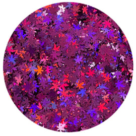 Leaves hologram collectie 11+1 gratis - Beauty by Wenn