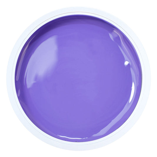 Alezori Painting Gel Purple 3gr