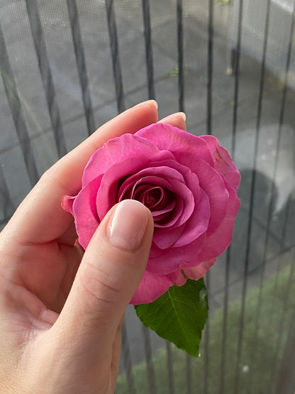 Opleiding Biab/Natural Nail Treatment (4 dagen) €600