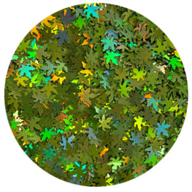 Leaves hologram collectie 11+1 gratis - Beauty by Wenn